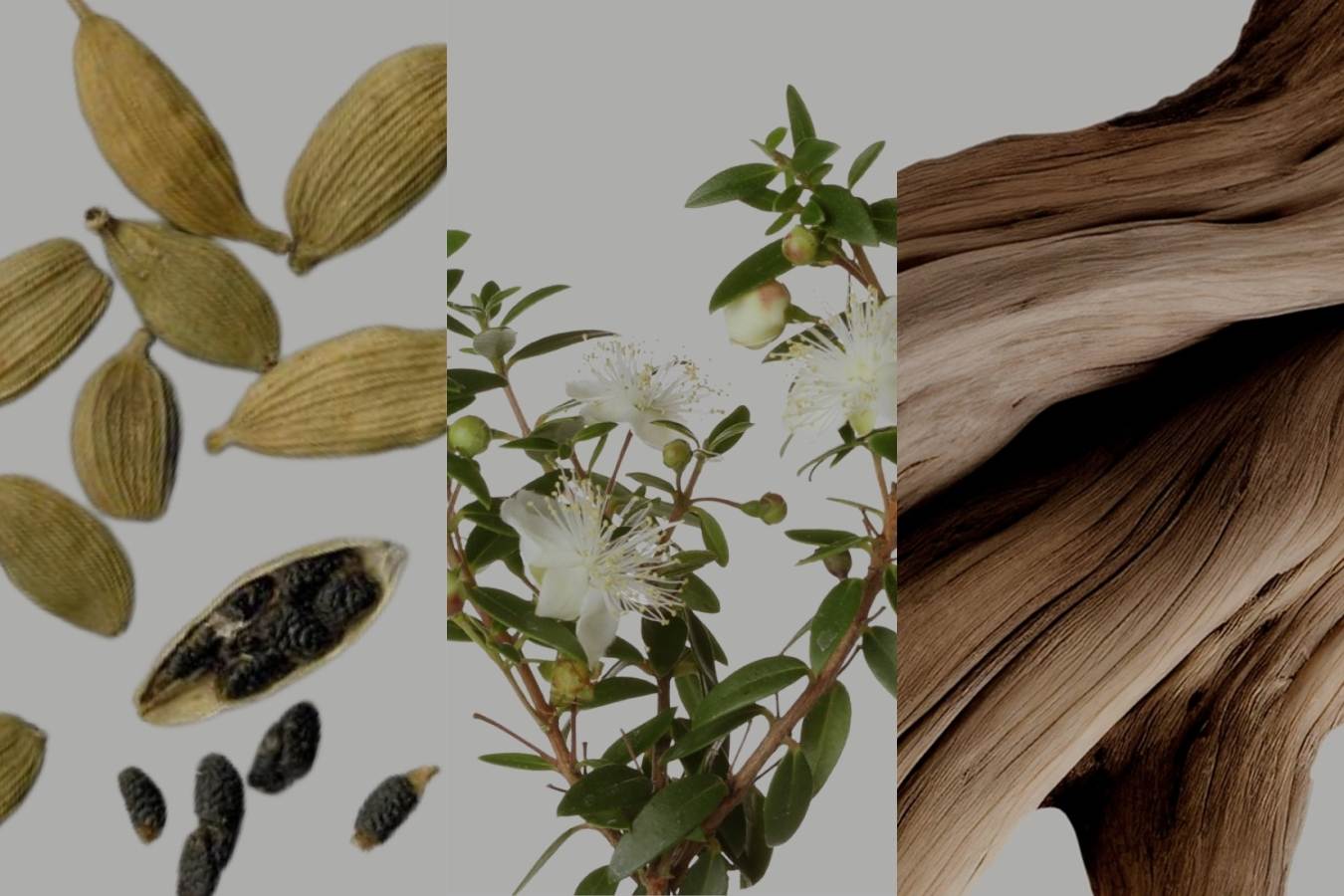 The Sacred Earth Collection